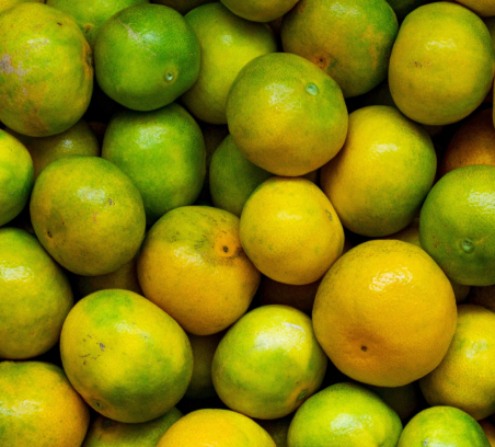 Citrus