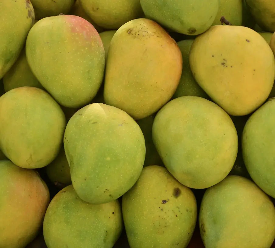 Alphonso Mangoes
