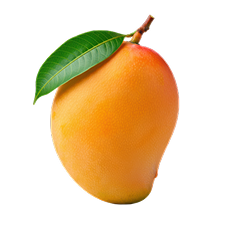 Mango Lush Iced Tea