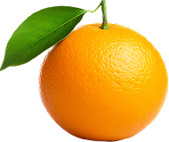 Citrus Crush Iced Tea